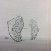 Moynagh Crannog Pendant - Image 2